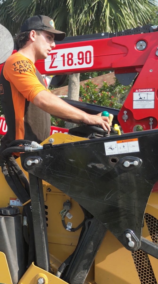 Elijah — Southern Standard Tree Service crew
