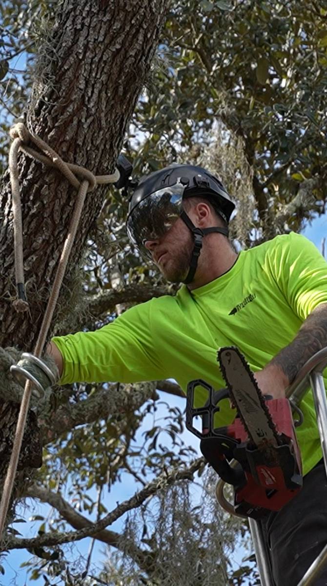 Logan — Southern Standard Tree Service crew
