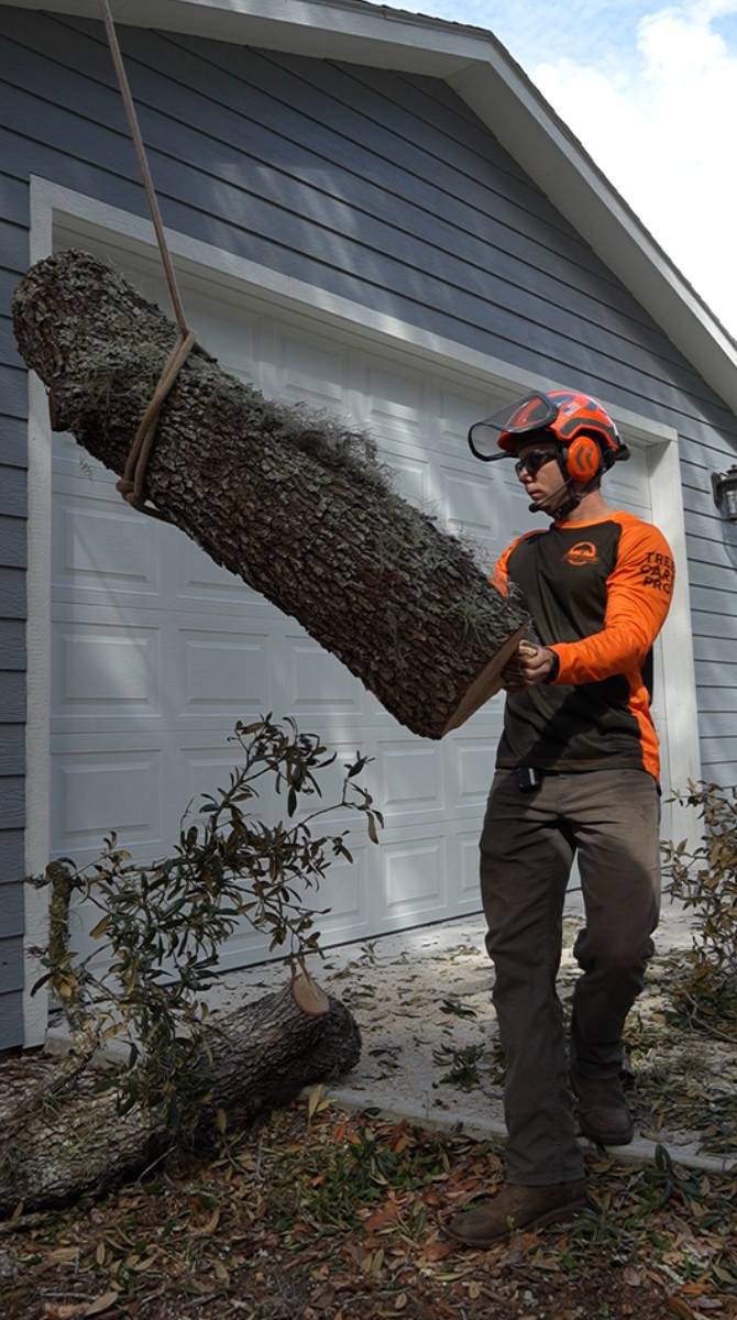 Nigel Konz — Southern Standard Tree Service, Chuluota FL