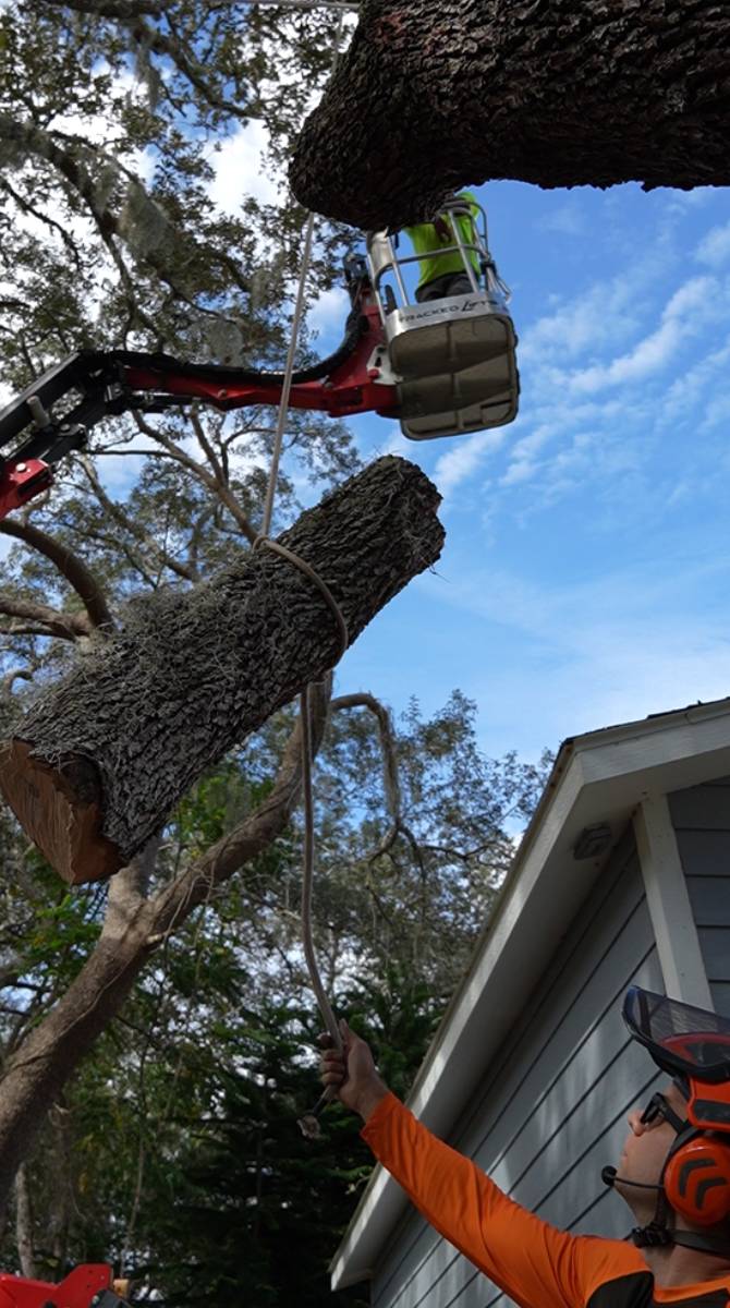Nigel Konz — Southern Standard Tree Service, Chuluota FL