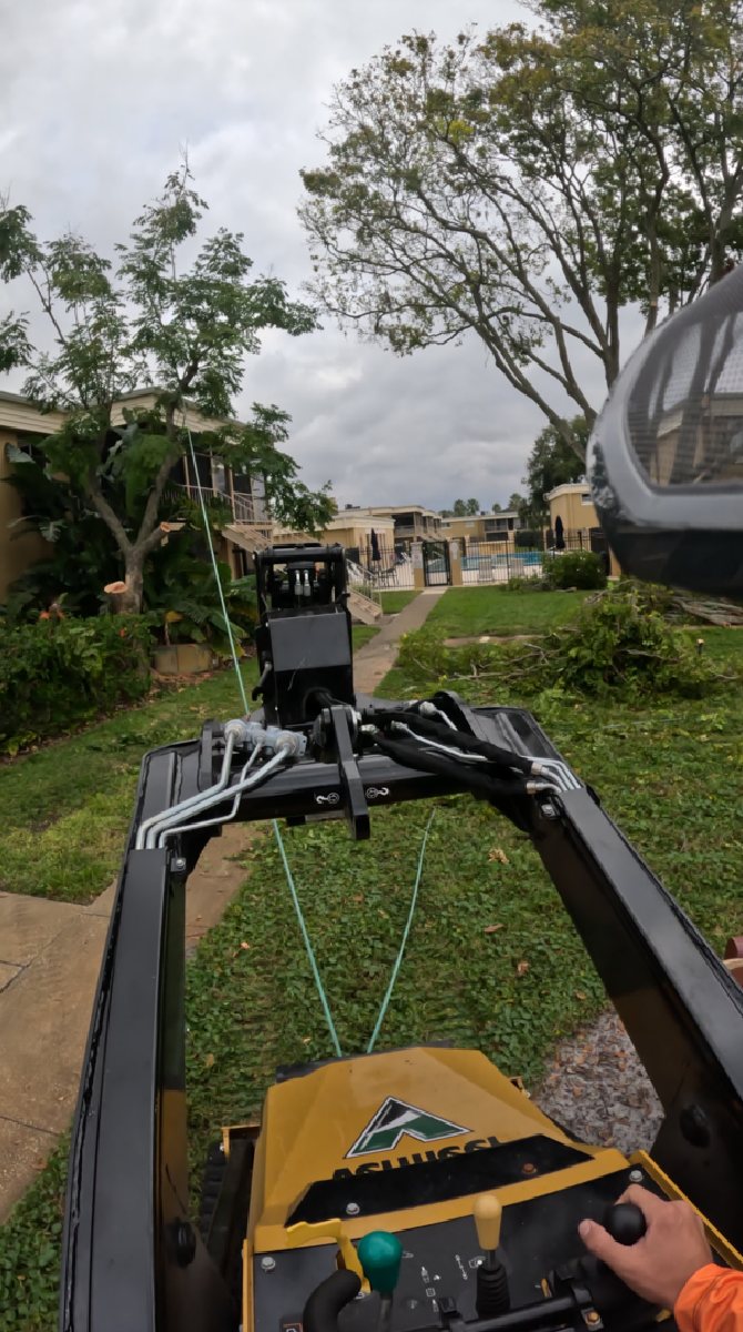 Rigging with tug rope — Southern Standard Tree Service crew